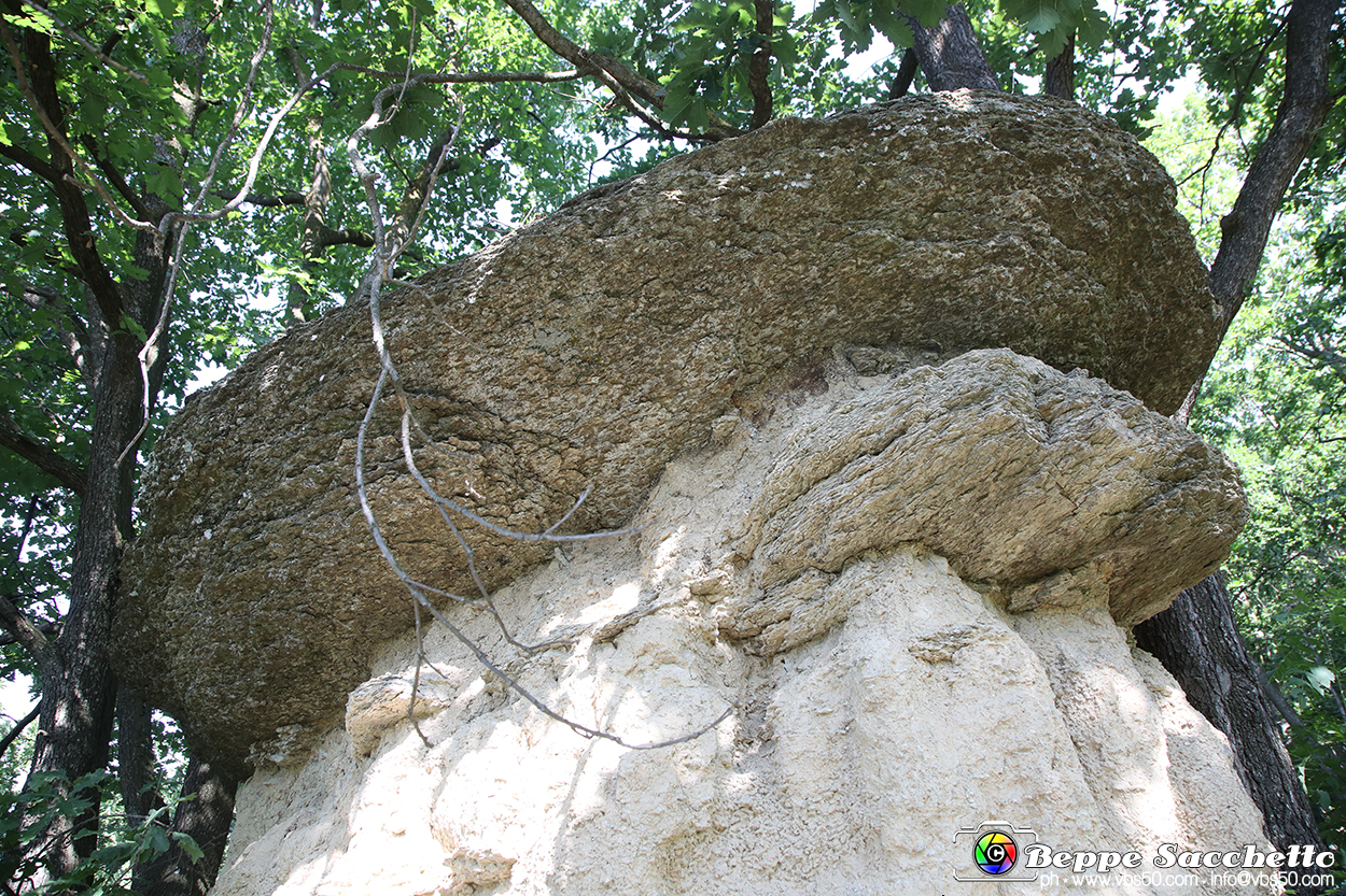 VBS_8944 - I Ciciu del Villar. Villar San Costanzo. Val Maira (Cuneo).jpg